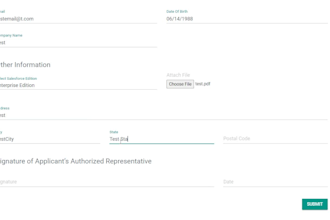 setup public forms in salesforce