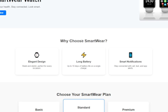 develop a custom responsive frontend website