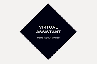 be your professional virtual assistant