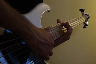 ill be your professional dingwall rockmetal bass player