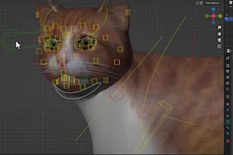 advance 3d blender rigger,rig 3d for animaze,3d character,ik fk,arkit,facial rig