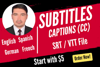 perfectly synced subtitles or caption to your video in english, german, french,