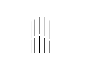 create custom cinematic, unique, clean logo animation