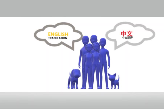 help you with the translation of chinese to english