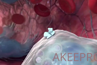 do 3d medical animation, healthcare animation video, surgery animation, blood