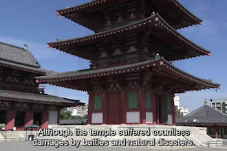 translate your japanese video or audio to english