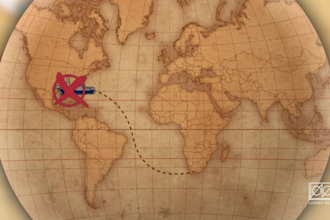 motion graphics and 2d animation