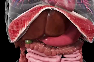 3d medical animation pharmaceutical scientific  explainer video, dental surgery