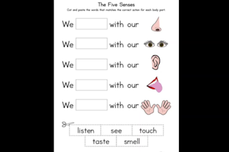 create high quality worksheets for school kids