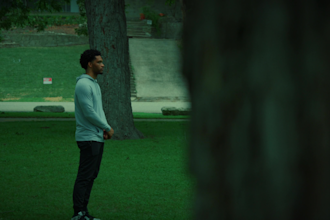 do hollywood level rotoscoping, green keying, and build custom 3d environments