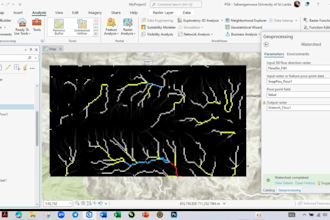 do professional gis mapping, spatial analysis, and remote sensing services