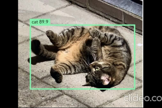 do image annotation, segmentation, bounding box, and all data labeling for ai