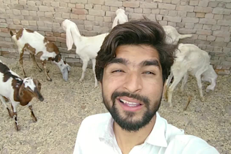 wish happy birthday and sing happy birthday song funny style