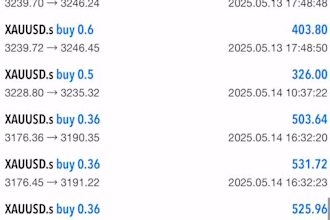 manage your mt5 and mt4 account, account management profitable