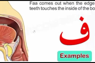 do online quran teaching, learn quran with tajweed