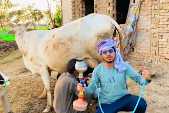 wish african happy birthday video or happy birthday video