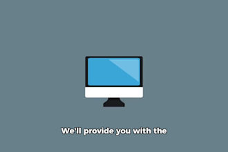provide professional cybersecurity services , security audit