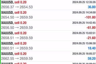 deliver forex trading bot, forex trading robot, profitable ea, forex trading