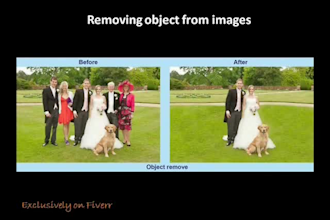 remove object from your image