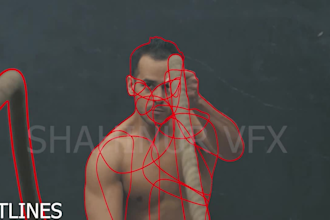do vfx rotoscoping, chroma keying, green screen, object remove