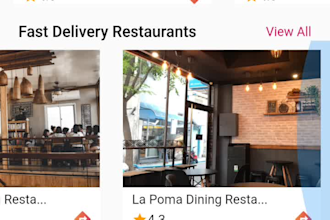expert flutter UI designer