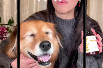 create ugc videos for tiktok instagram social media to boost sales e engagement