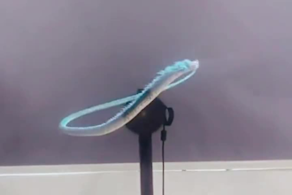 make 3d hologram fan video, hologram aniamtion, 3d logo animation