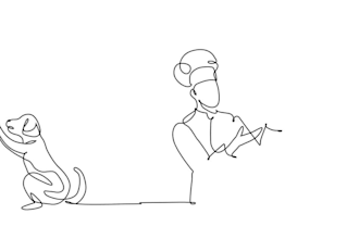 do 2d line art animation, hand drawn, 2d traditional animation, frame by frame