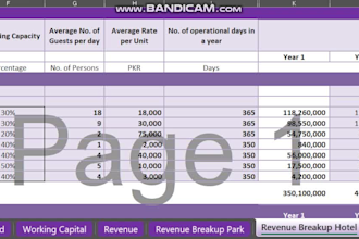 craft investor ready business plan for startup, with 5 year financial forecast