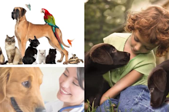 develop shopify website for pet breeds and veterinaries