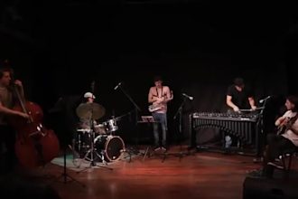 vibraphone and music lessons for you