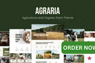 design redesign or fix wix business online store ecommerce website coding seo