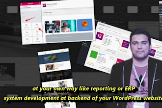 customize your wordpress website with erp, reporting backend