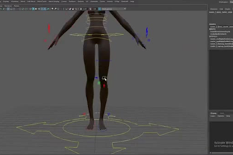 setup 3d rigging for any software,3d wonder dynamics,blendshapes,facial bone rig