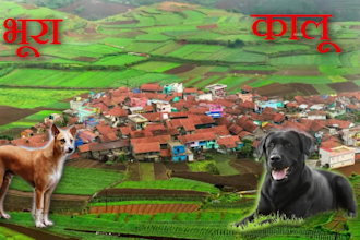 edit wonderful top 10 videos