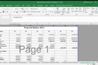 prepare feasibility study, business plan, financial model