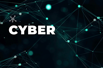 perform professional web application penetration testing