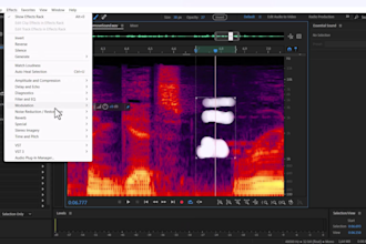 remove unwanted sounds, repair audio, reduce noise and echo for audio