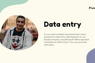 be your virtual assistant for data entry, data mining, copy paste, web research