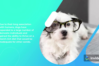 convert 3000 words into a professional video for your business