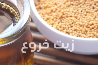 record professional arabic voiceover, voix off, voice over