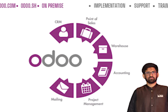 provide odoo implementation, support, and training