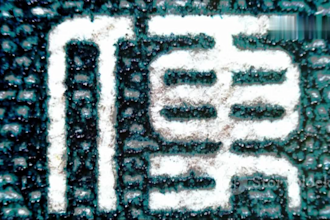 blur faces , upscale and enhance resolution of photos