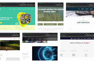 be top wordpress development services