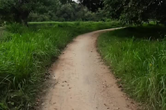 make a birthday wish video