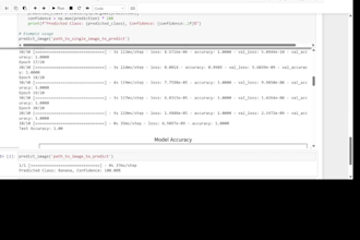build a powerful image classification model using python and deep learning