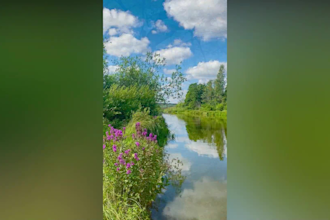 create 120 meditation, relaxing, nature shorts videos
