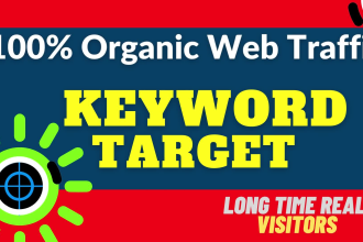 drive USA organic web traffic with google keywords target