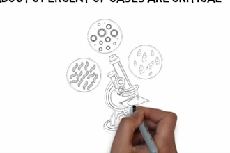 do whiteboard animation with video scribe, doodly, 2d animations