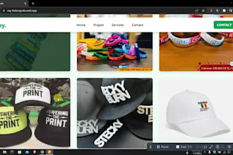 build a professional ecommerce website and web shop for your brand